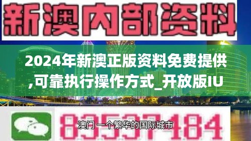 新澳2025正版免费资料与统一释义解释落实