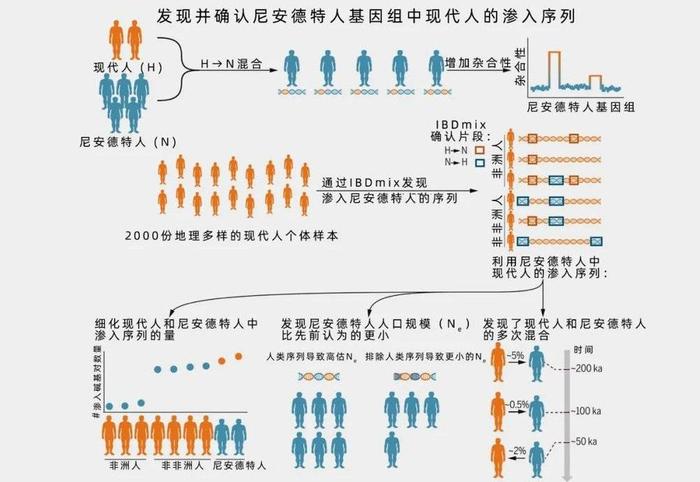 2025年澳门特马现象与现代社会的释义解释及落实策略