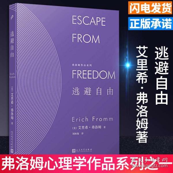 新澳今天最新资料995，研究释义、解释落实的深入探究