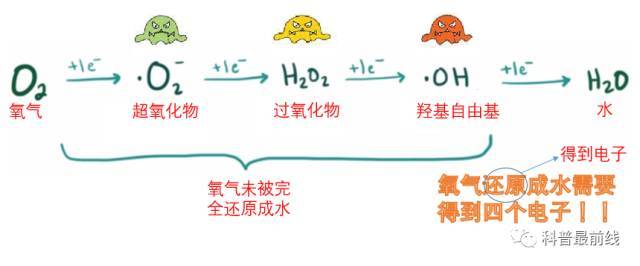 新奥49图资料大全，确认释义、解释与落实的重要性