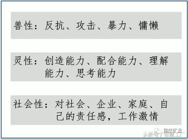 澳门特马结果揭晓，优点释义与解释落实的重要性