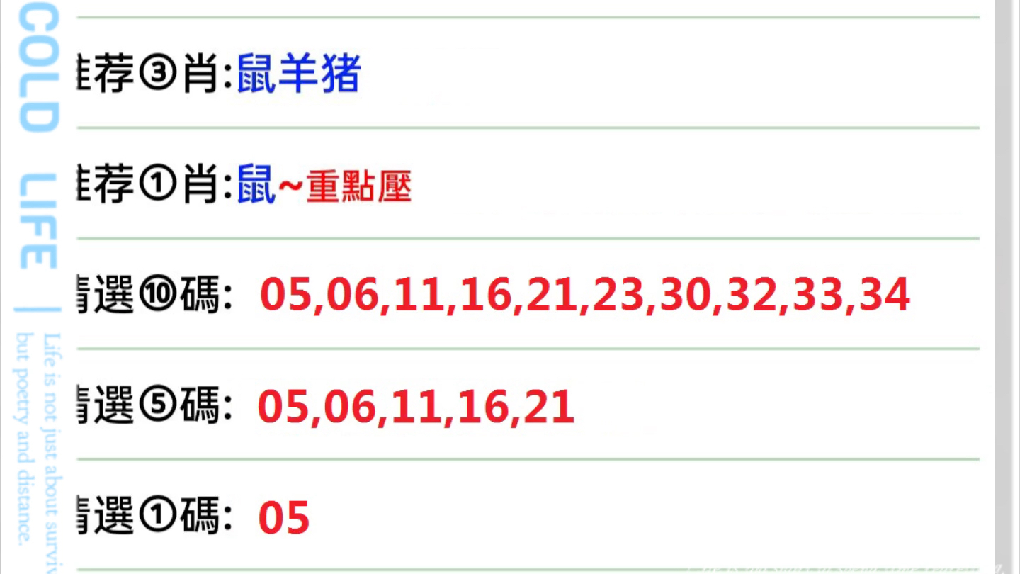 今晚澳门特马号码推理释义与解释落实