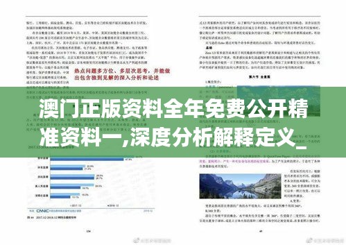 解析澳门正版免费资料车与落实释义的重要性