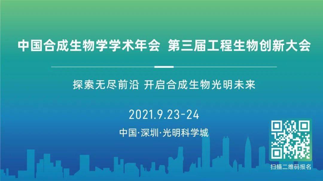 探索澳门未来，新澳门精准资料免费大全与化贸释义的落实之路