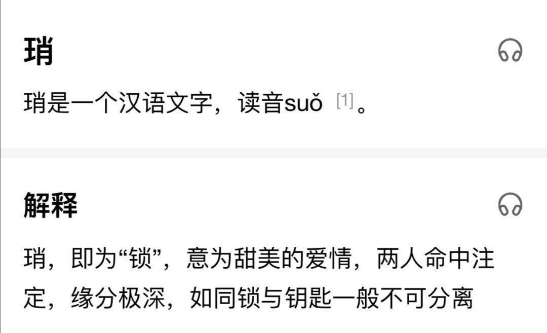 白小姐一码一肖中特一肖，循环释义、解释与落实的探索