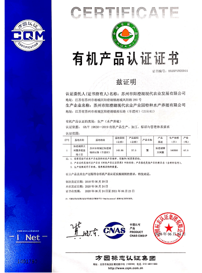 恒久释义解释落实，探索澳门特马2025年开奖背后的意义与策略