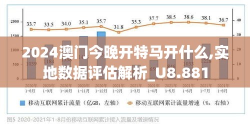 澳门今晚开特马，细分释义、解释与落实的探讨