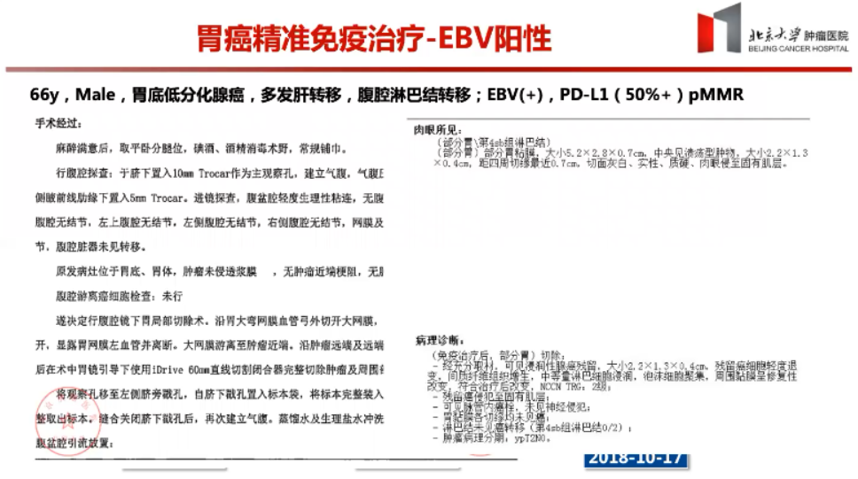 新奥天天精准资料大全与关键释义的落实解析