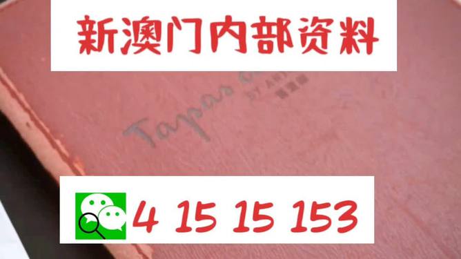 新澳门资料免费精准，释义解释与落实行动