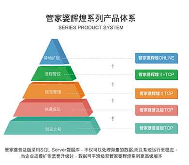 探索精准管家婆，潜力、释义与落实策略