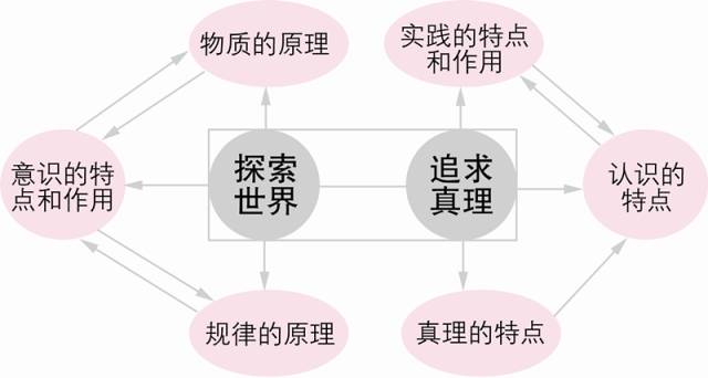 探索真理之路，澳门彩票背后的哲学与落实策略