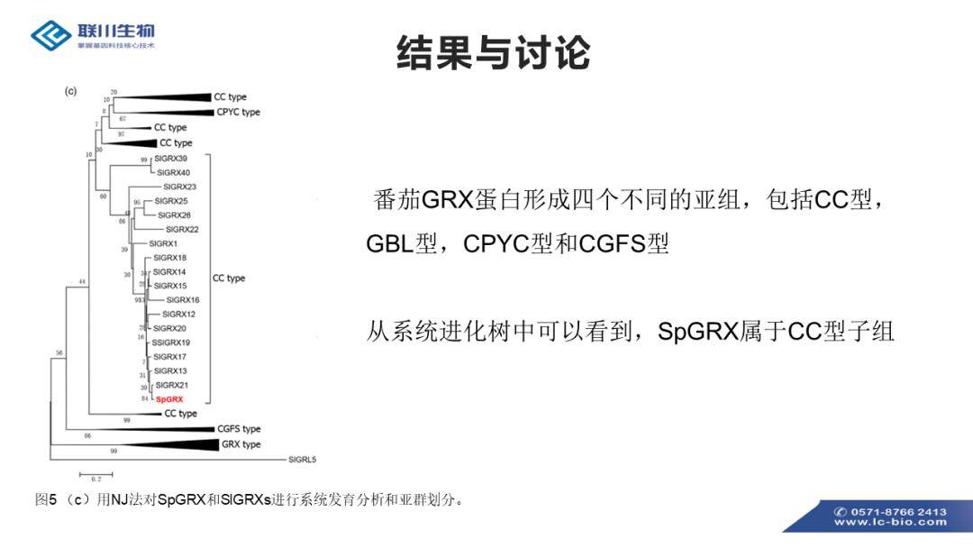 探索2025新奥正版资料的免费共享与门合释义的落实