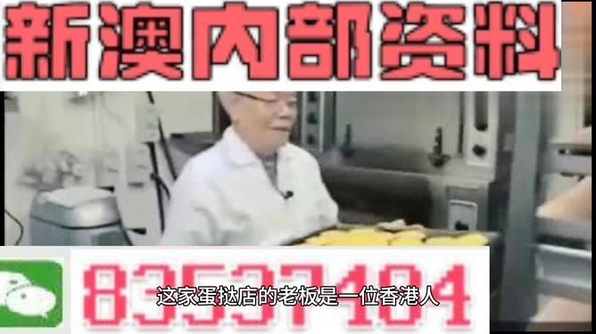 新澳精准资料免费提供的机会释义与落实策略探讨