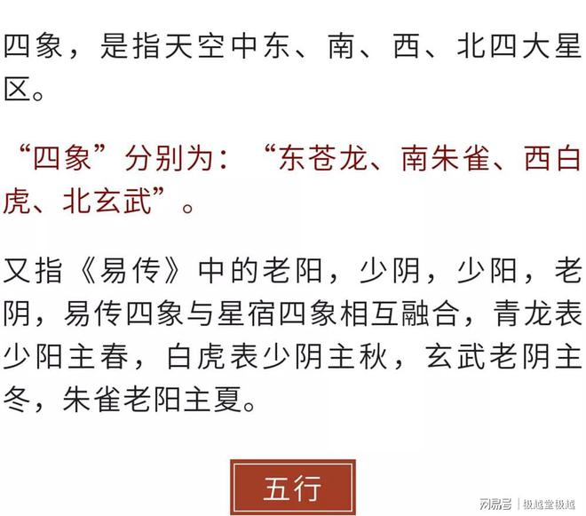 澳门王中王游戏技能释义解释与落实策略，探索数字世界中的奥秘与机遇（2025年展望）