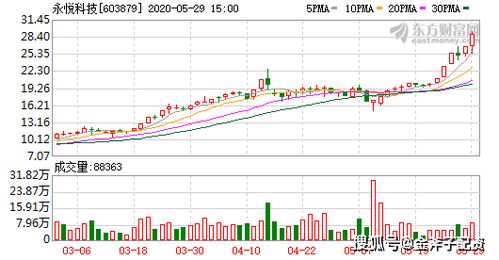 新澳今日动态，最新资料解读与未来展望（至2025年）