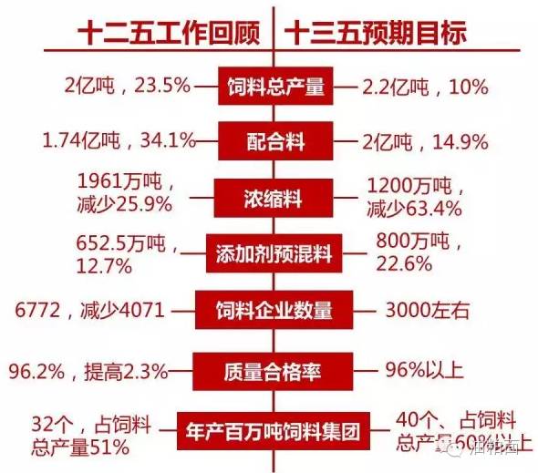 探索未来彩票世界，精准资料量入释义与落实策略在天天彩中的实践