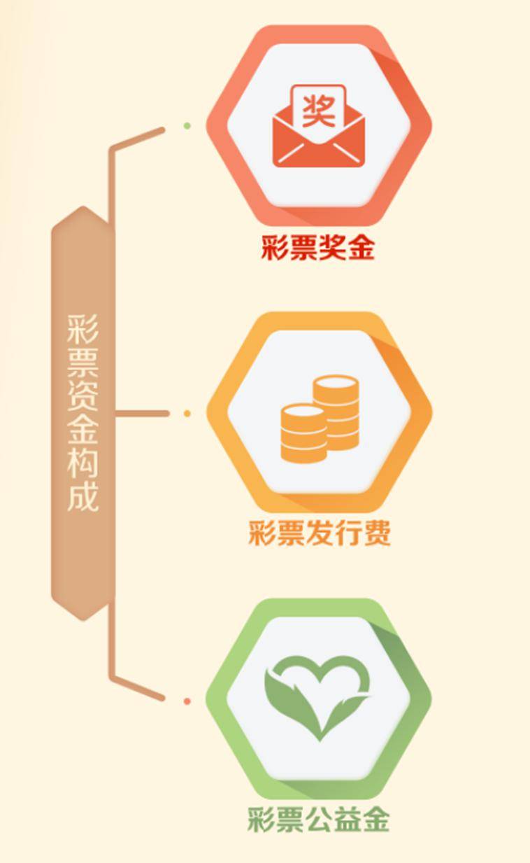 探索正版资料大全好彩网，释义解释与落实行动