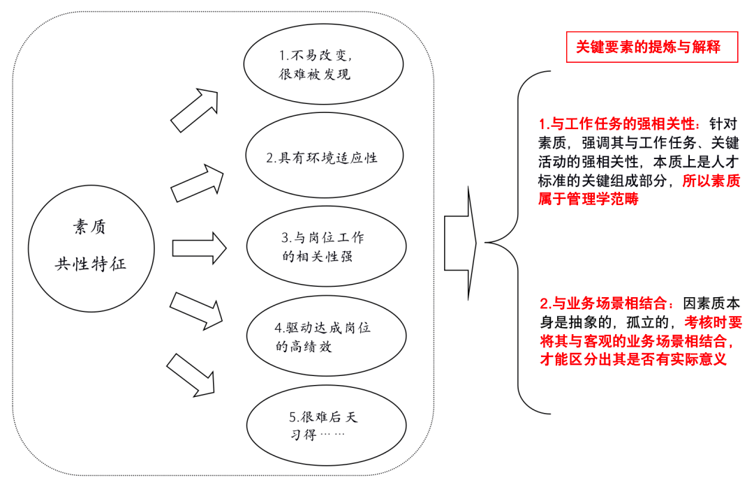 最准一肖一码与素质的释义解释落实，探寻真实与价值的深度关联