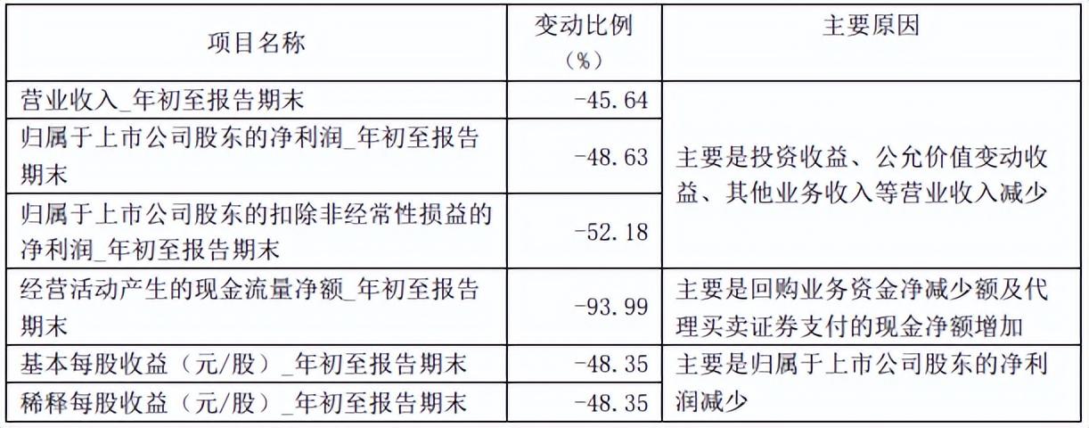 揭秘十二生肖与数字49的神奇联系，2025年的损益释义与行动落实之道