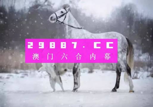 澳门一肖一码精准预测，探索概率与公正之间的微妙平衡