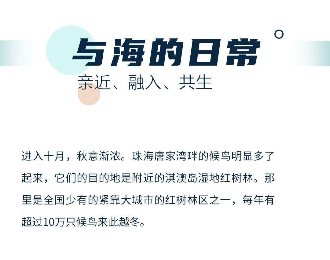 新澳门资料大全免费新鼬，严谨释义、解释与落实