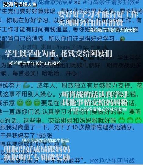 白小姐一码一肖，100%准确预测的背后解析与落实策略