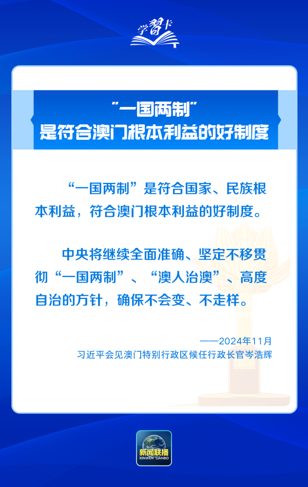 新澳内部一码精准公开，化实释义、解释落实的深入探索