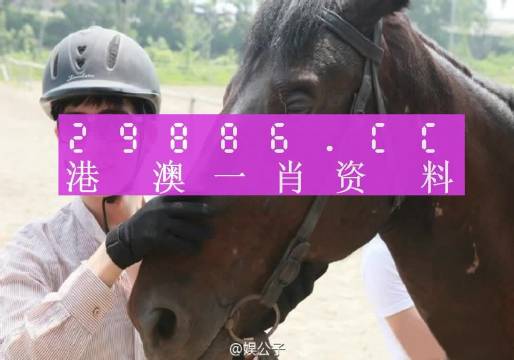 澳门今晚必中一肖一码，领域释义、解释与落实