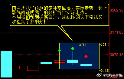 理性解读最准一肖一码一一中一特，深度解析与实际应用