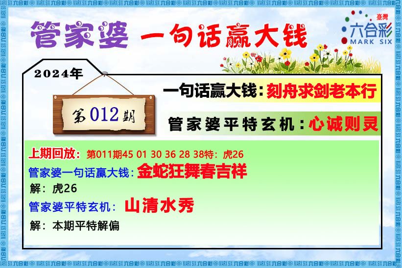 管家婆的资料一肖中特46期与净澈释义的深入解读