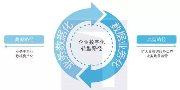 探索精准跑狗图正版，深度解析与落实策略