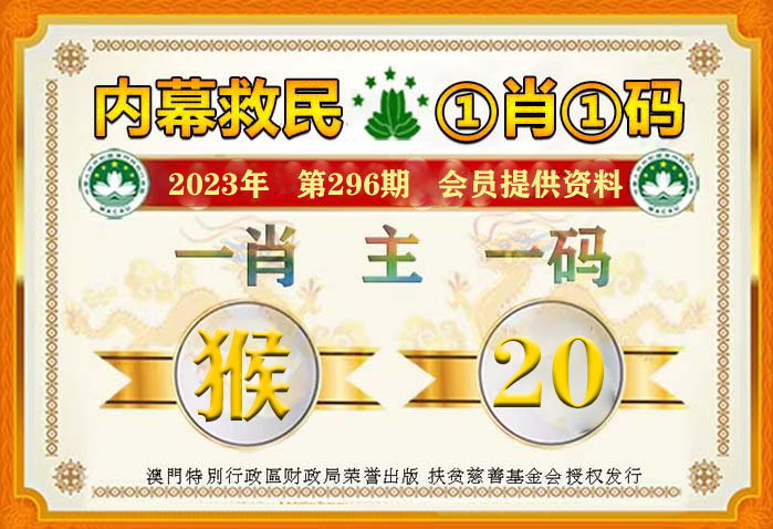 澳门一肖一码准选一码2025年，长远释义解释与落实策略