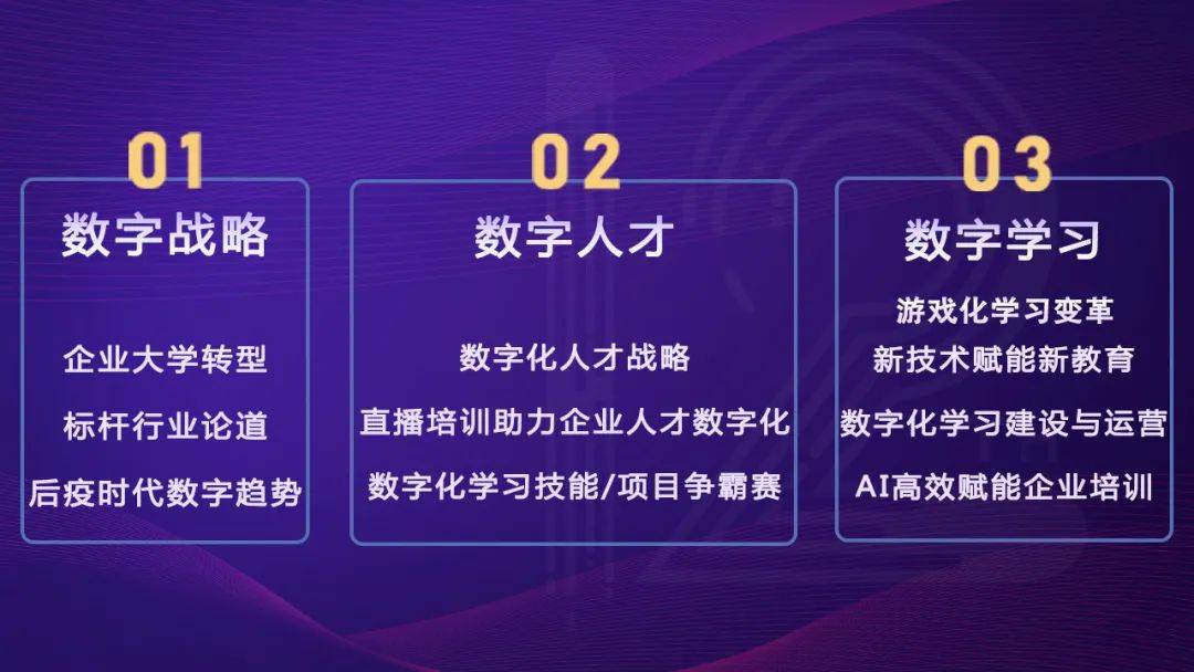 澳门正版资料与未来展望，走向更加稳健的2025年