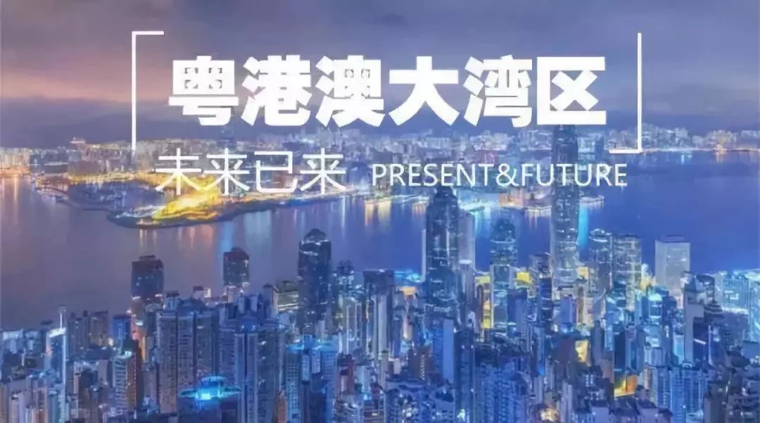 探索新澳门，2025年免费资料的深度解读与落实策略