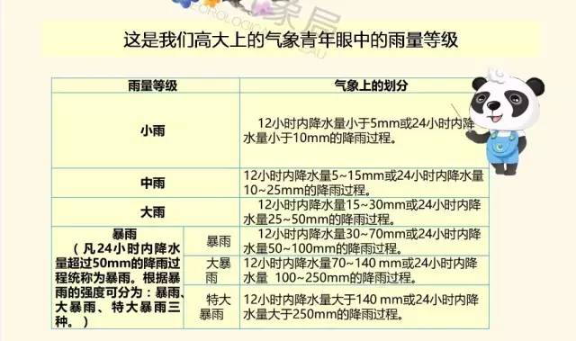 今晚澳门码特开什么号码，深度解析与释义解释落实的重要性