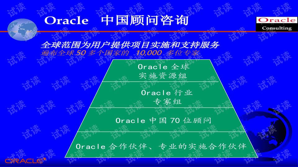 澳门平特一肖，解读顾问释义与落实策略