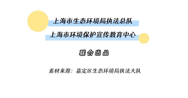 澳门一码一肖一恃一中354期，力策释义解释落实的探讨与实践