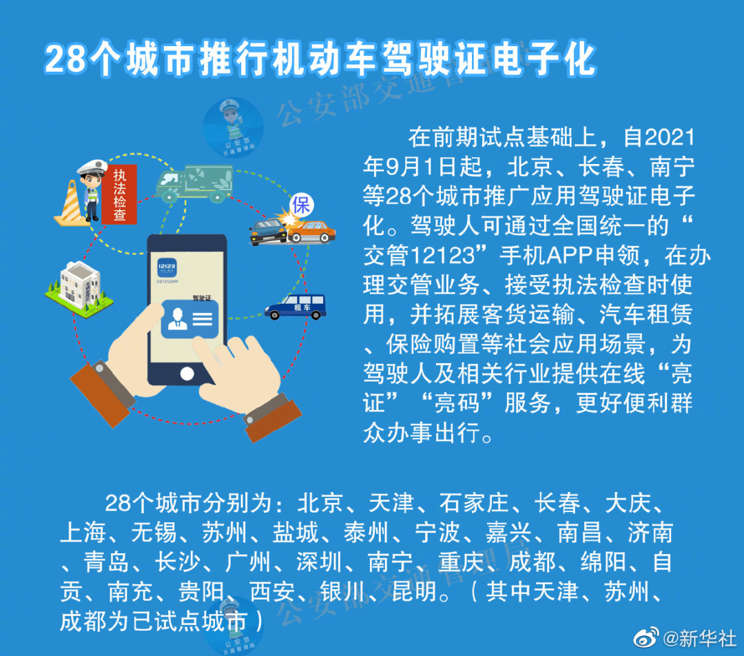 探索新版跑狗，驱动释义与落实策略