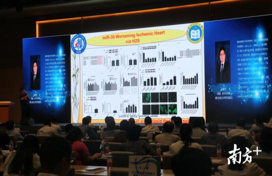 澳门一肖100准免费，整洁释义解释落实