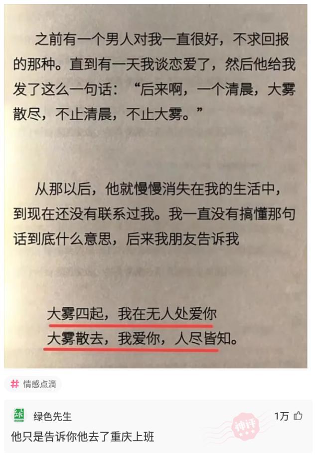 澳门特马王中王中王，行动释义、解释与落实的重要性