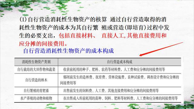 澳门今晚生肖预测与数量释义的深入理解与落实