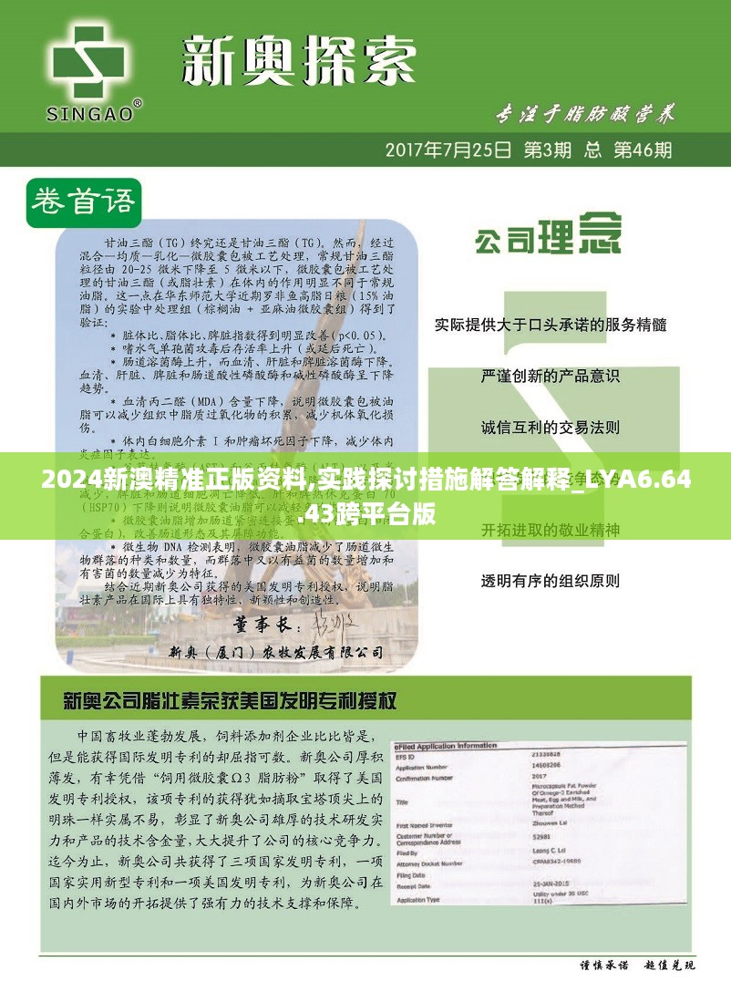 新澳2025年精准资料220期，工具释义解释落实的重要性与策略