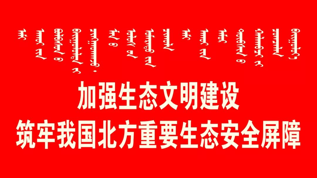 澳门王中王与环境释义解释落实，深入解读与探索