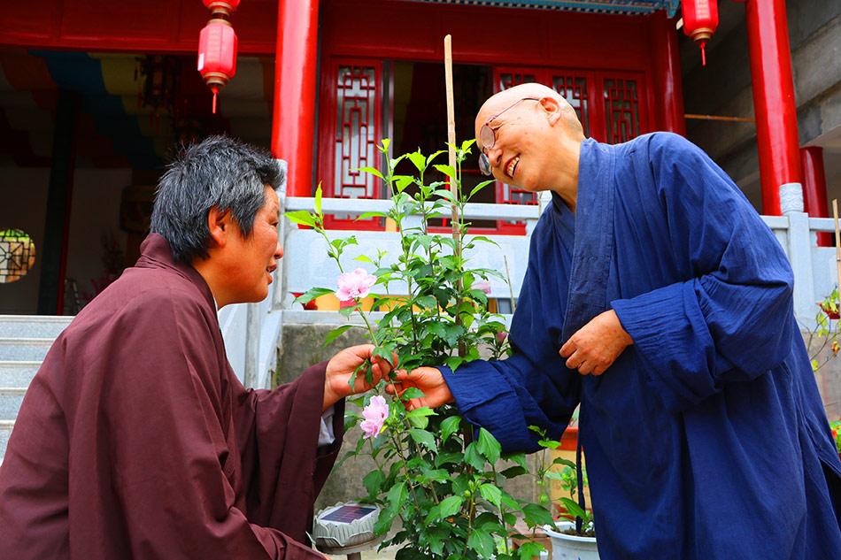 揭秘最准一码一肖，凤凰网绝招释义与落实之道