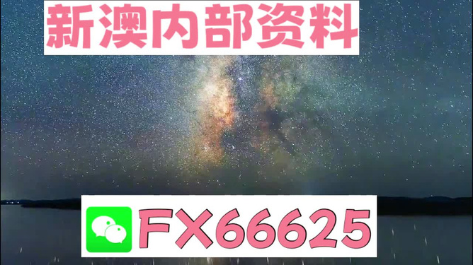 新澳天天彩免费资料大全查询，释义解释与落实