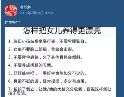 探索与解读，关于四不像正版最新版本的完美释义与落实策略