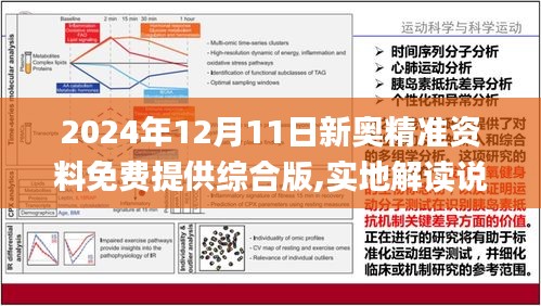 新澳精准资料视角下的视角释义解释落实研究