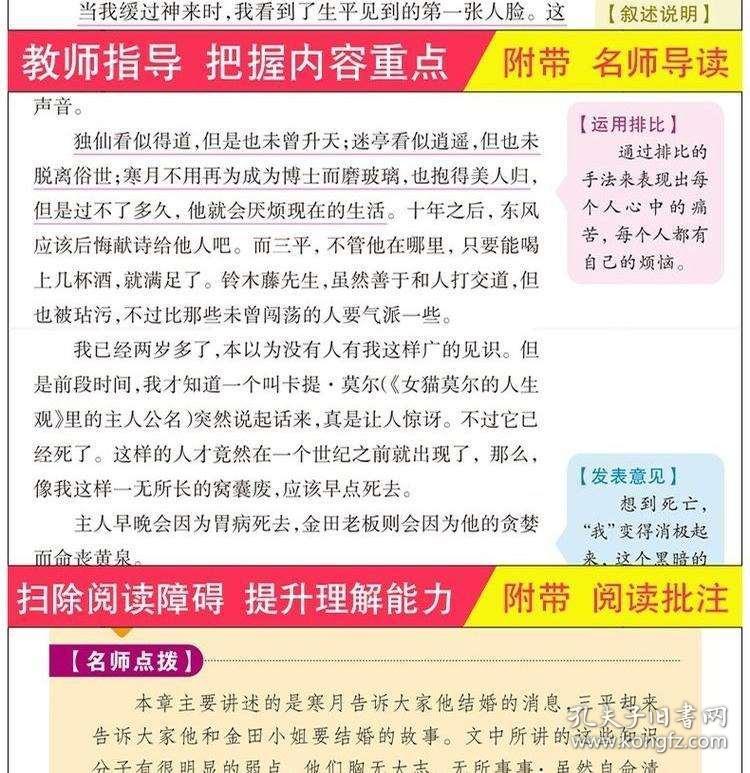 新奥彩天天开奖资料免费查询，探索释义、解释落实