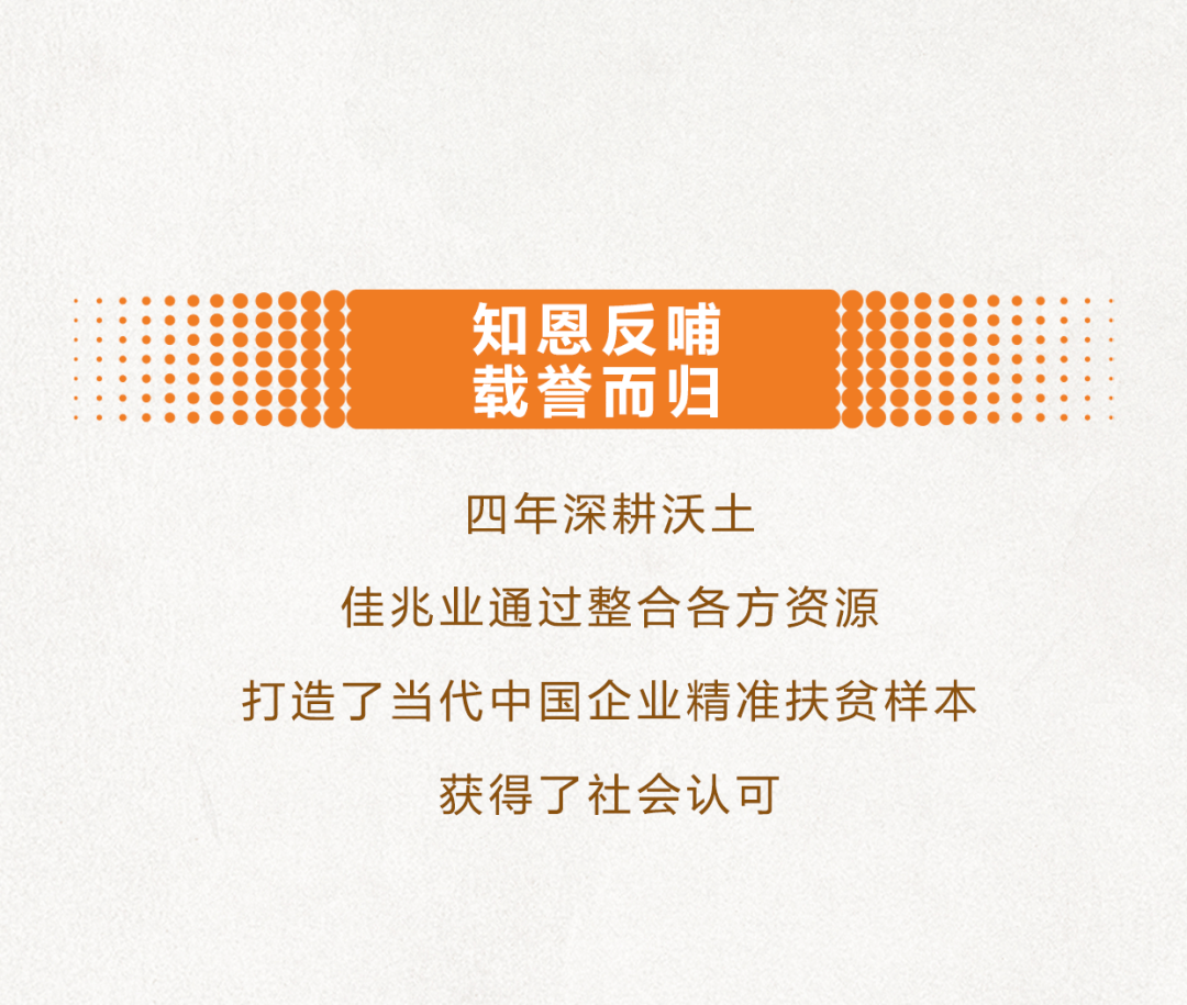 新澳精准资料免费提供，第267期的深度解析与料敌释义的实践应用