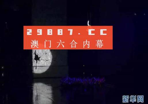 今晚澳门码特开什么号码，深度解析与落实释义